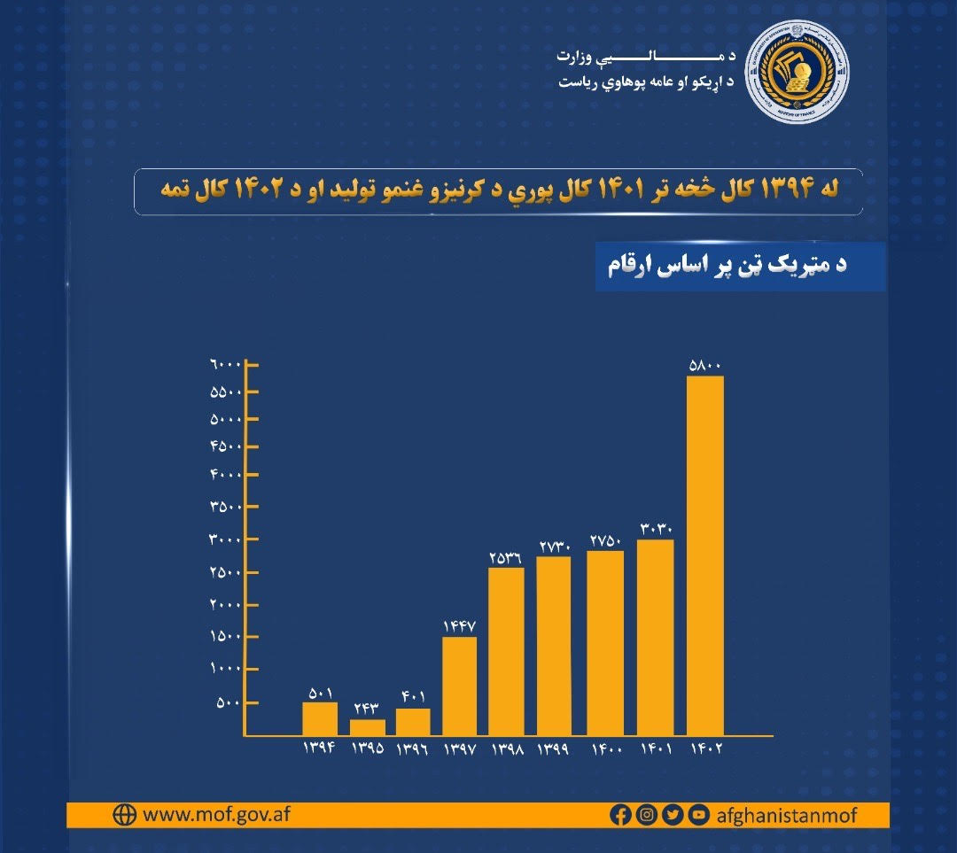خبر