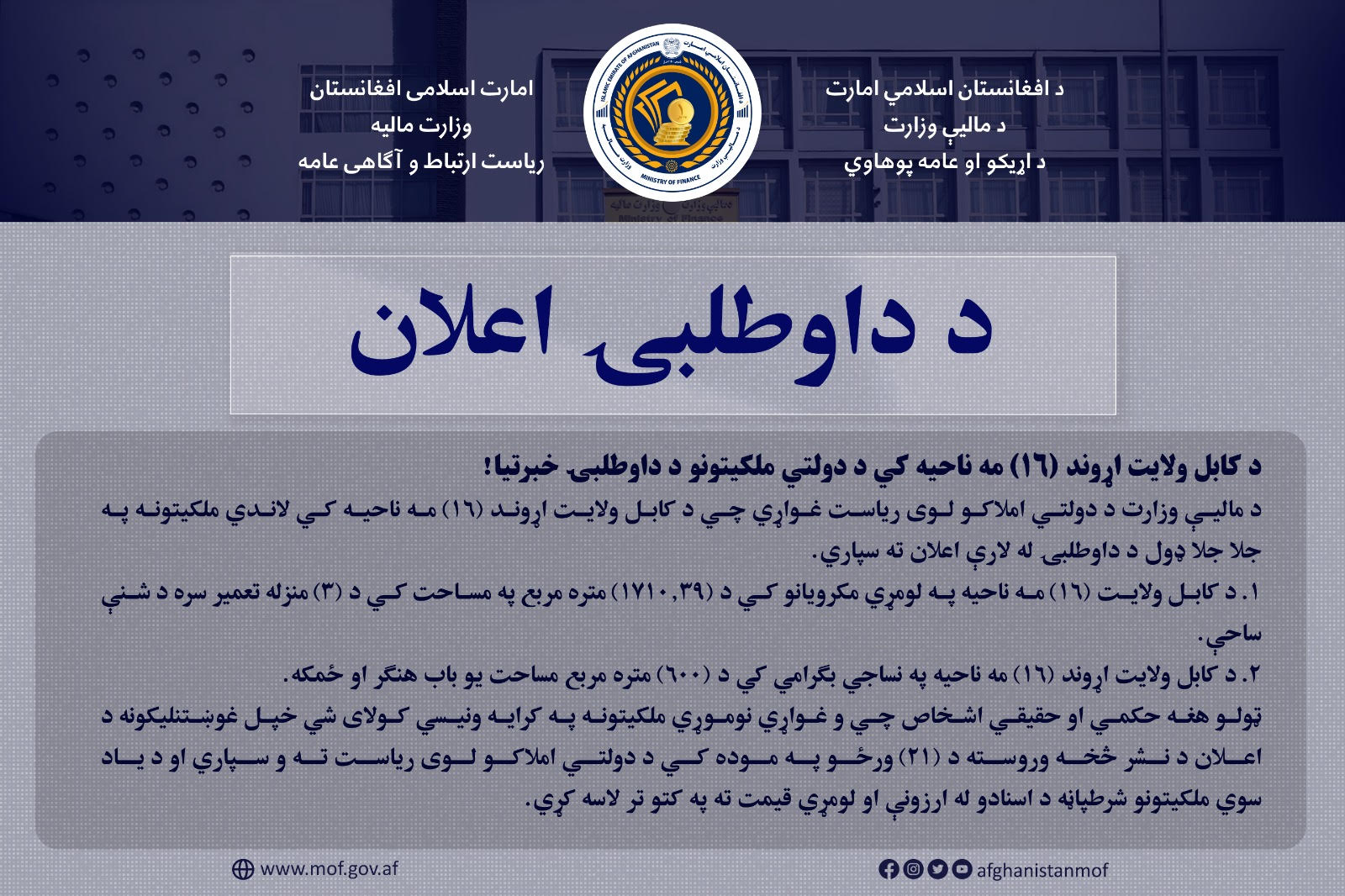 داوطلبی