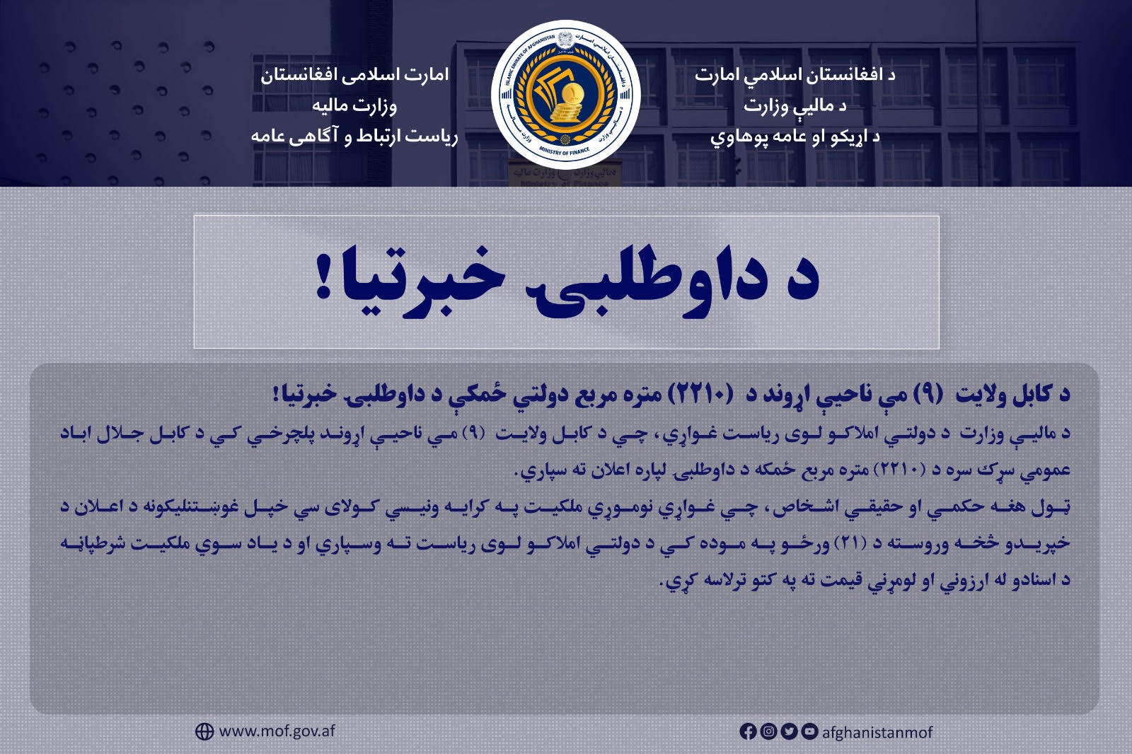 داوطلبی