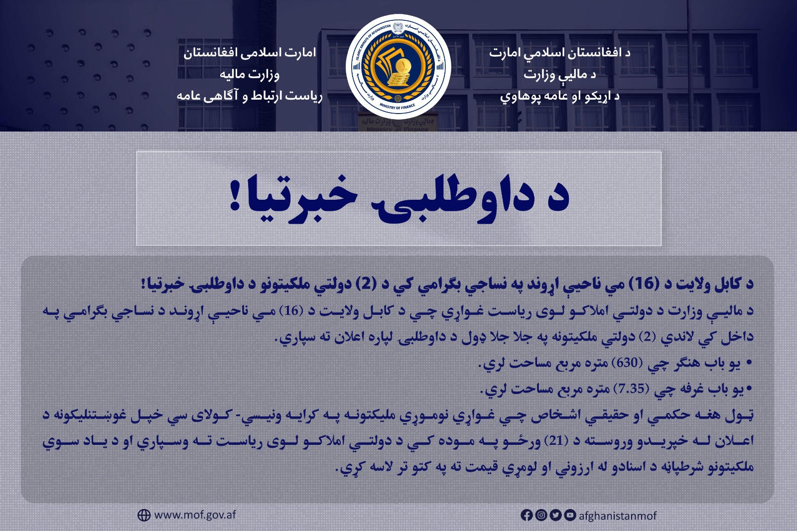 داوطلبی